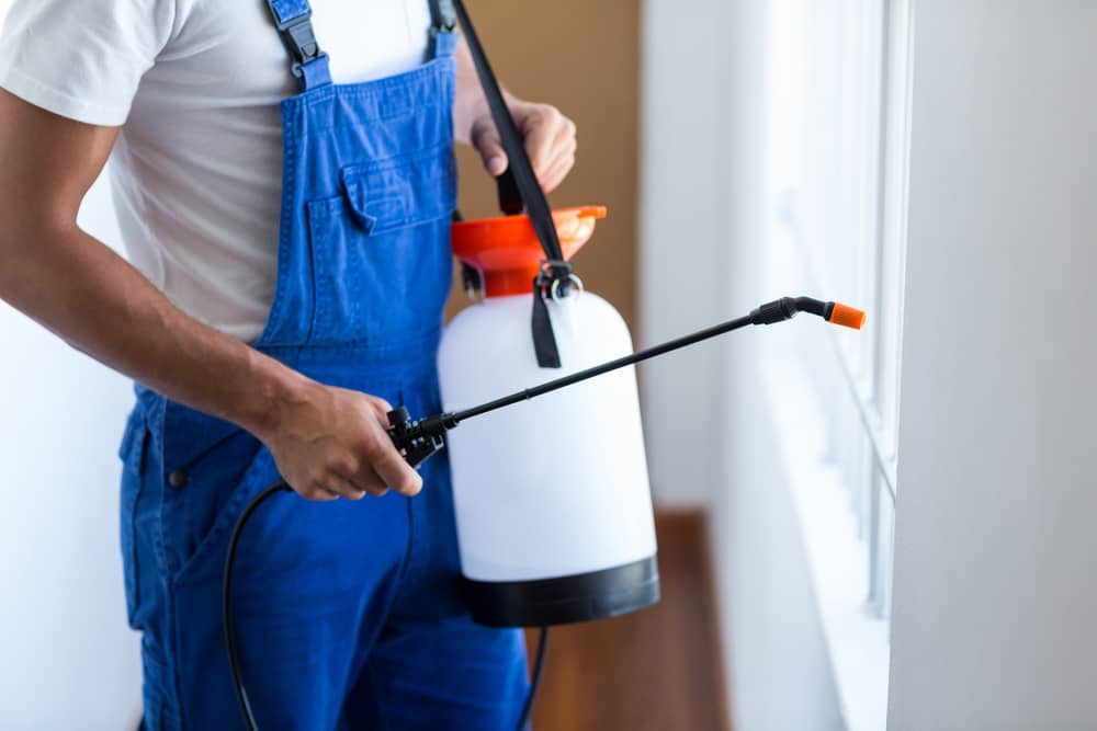Termite Treatment | Bed Bug Texas Termite & Pest Control