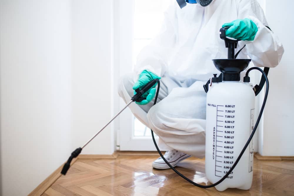 Termite Treatment | Bed Bug Texas Termite & Pest Control