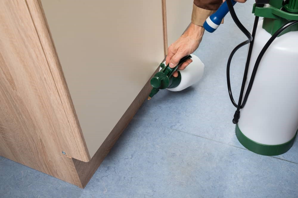 Termite Treatment | Bed Bug Texas Termite & Pest Control