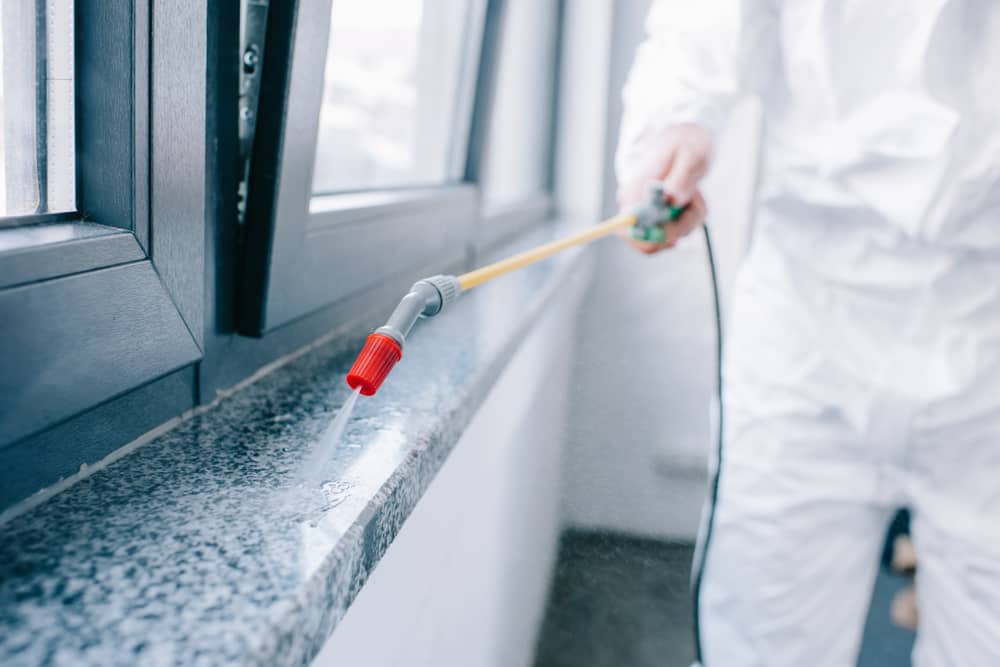 Termite Treatment | Bed Bug Texas Termite & Pest Control