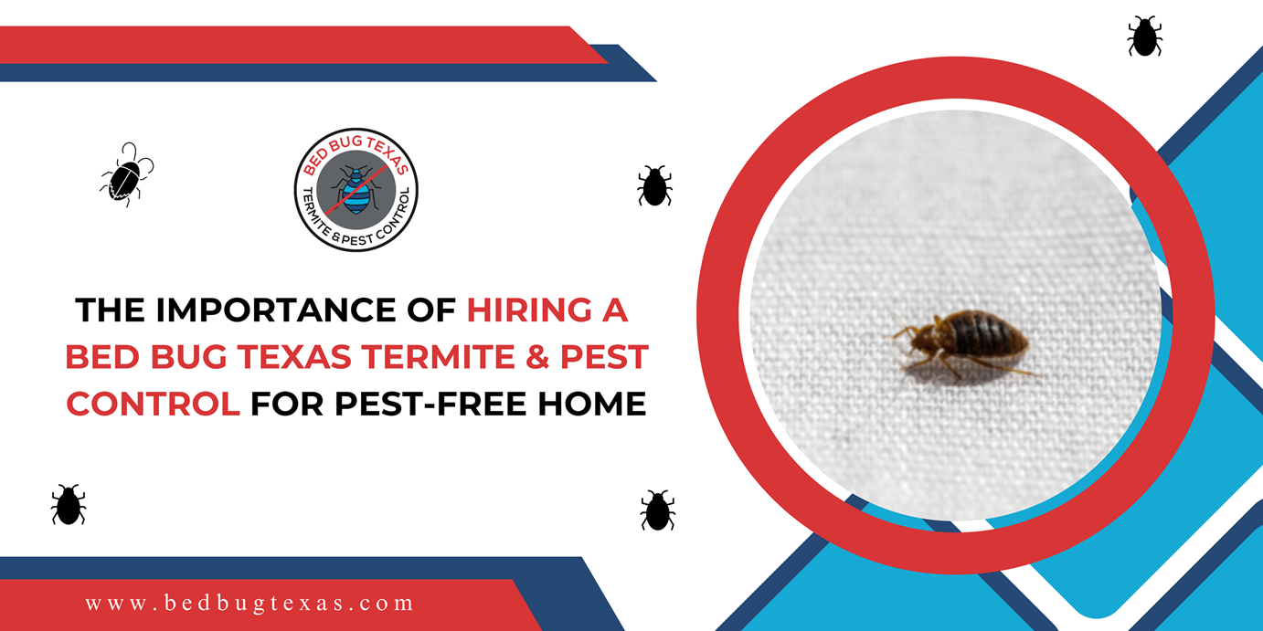 - Bed Bug Texas