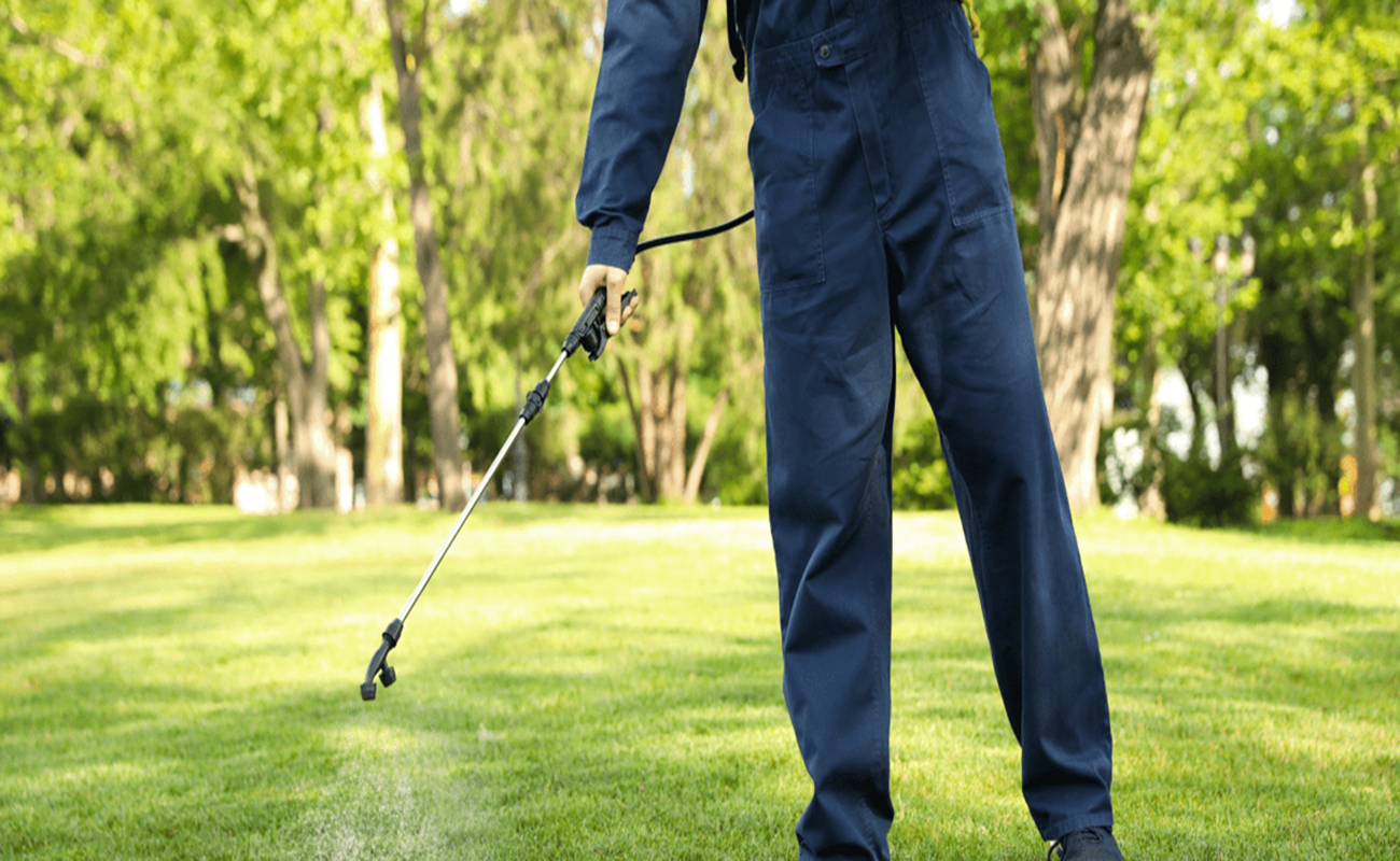 Eco-friendly Treatment | Bed Bug Texas Termite & Pest Control
