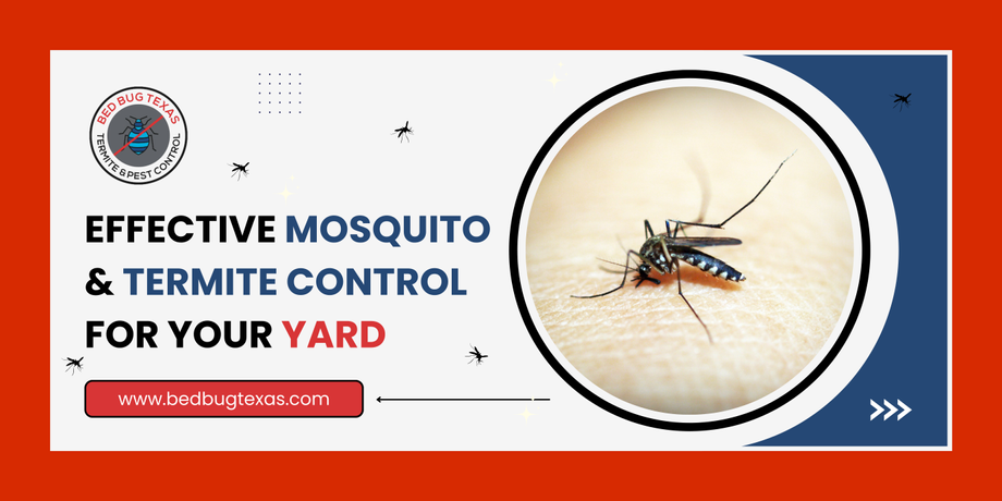 - Bed Bug Texas