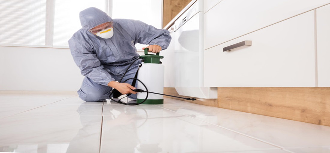 Termite Treatment | Bed Bug Texas Termite & Pest Control
