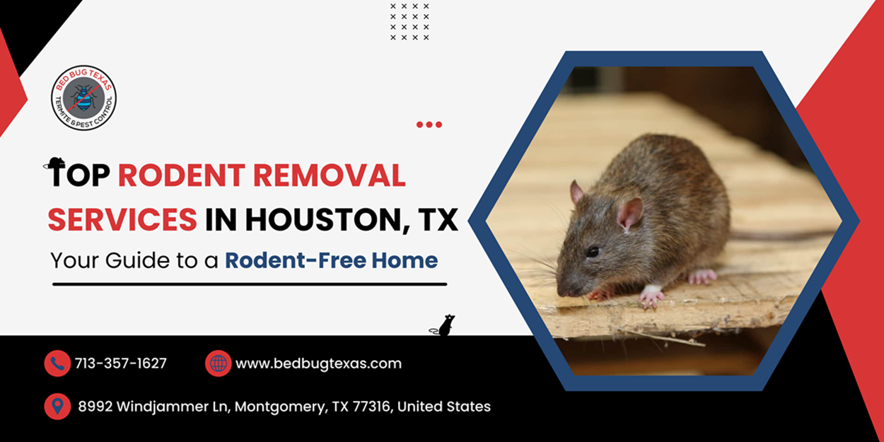 - Bed Bug Texas