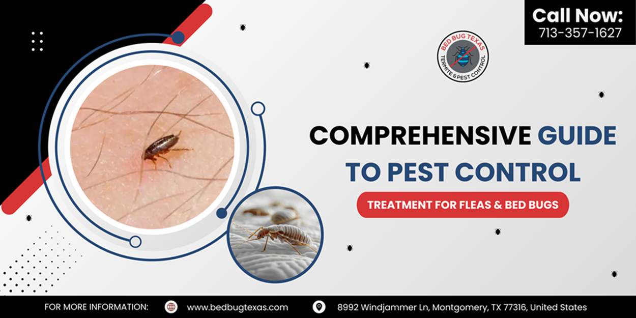 - Bed Bug Texas