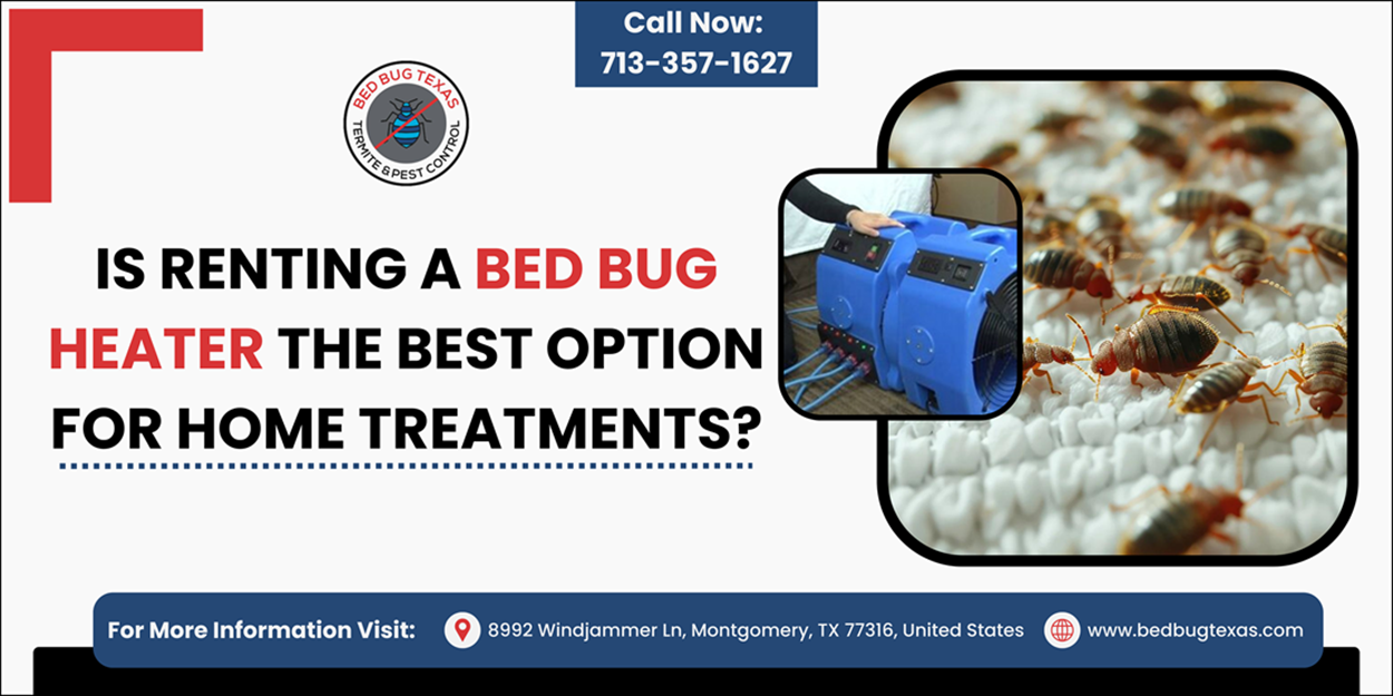 - Bed Bug Texas