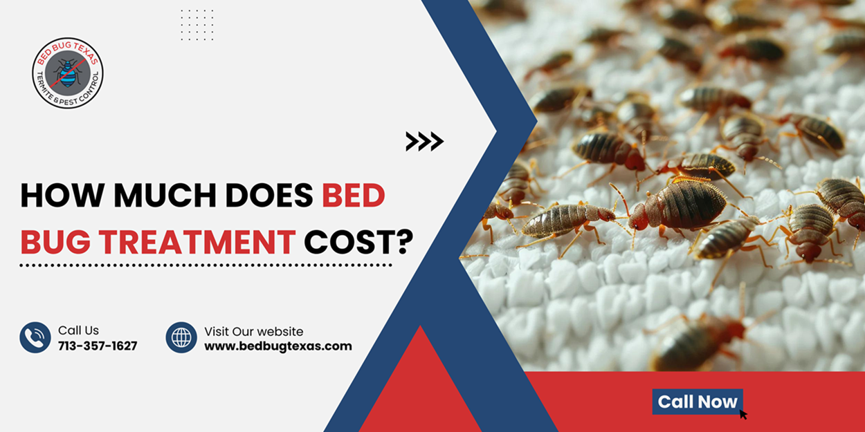 - Bed Bug Texas
