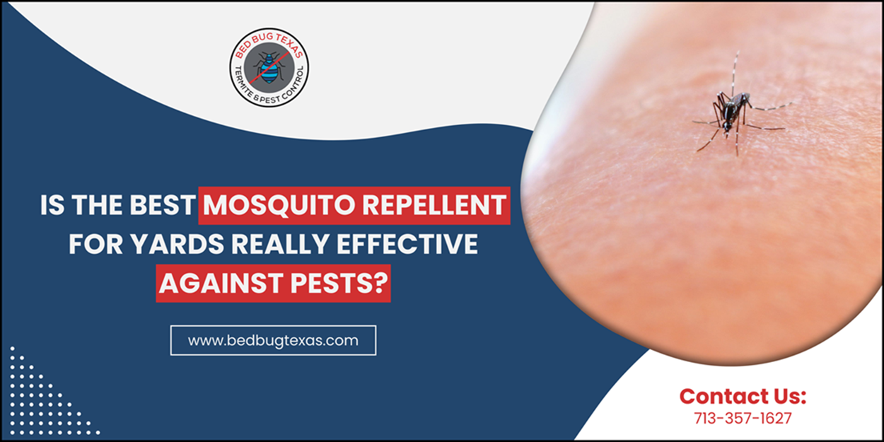 - Bed Bug Texas