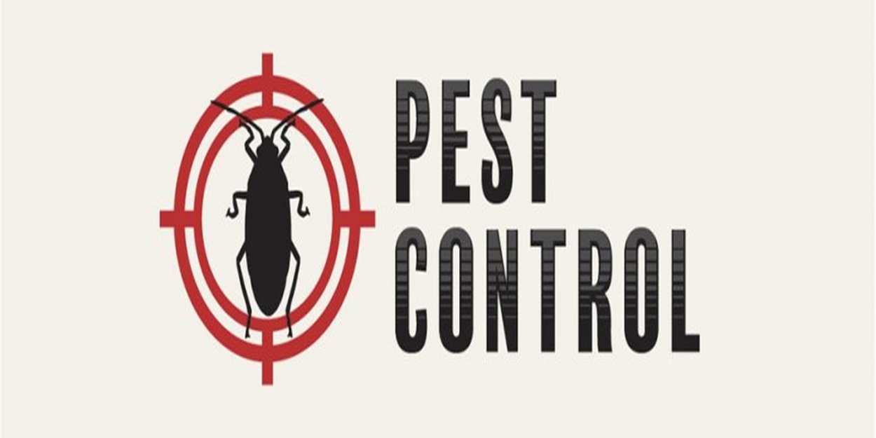 - Bed Bug Texas
