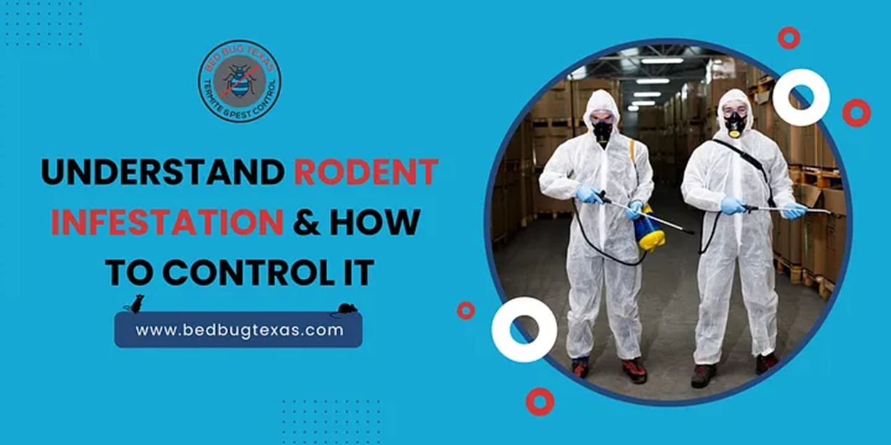 - Bed Bug Texas