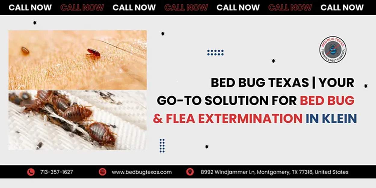 - Bed Bug Texas