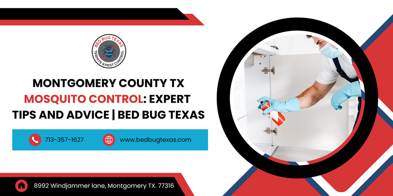 - Bed Bug Texas