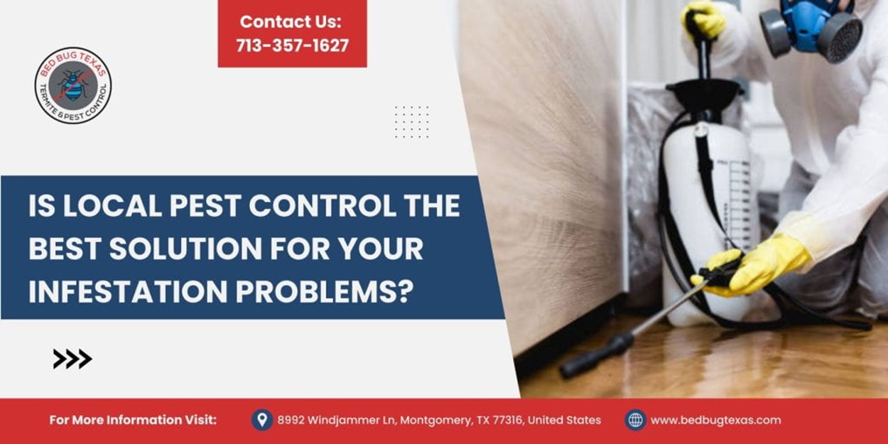 - Bed Bug Texas