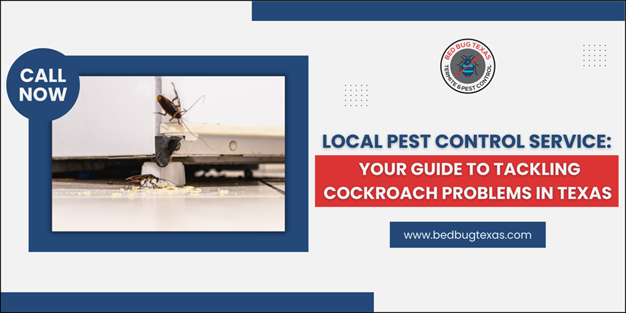 - Bed Bug Texas