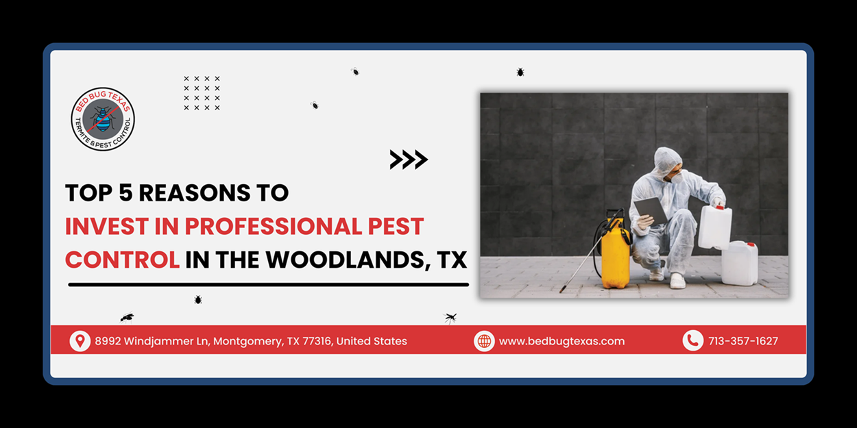 - Bed Bug Texas