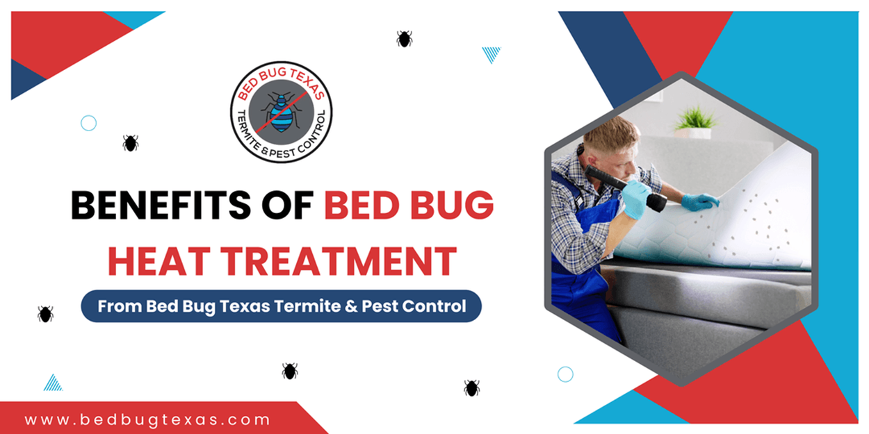 - Bed Bug Texas