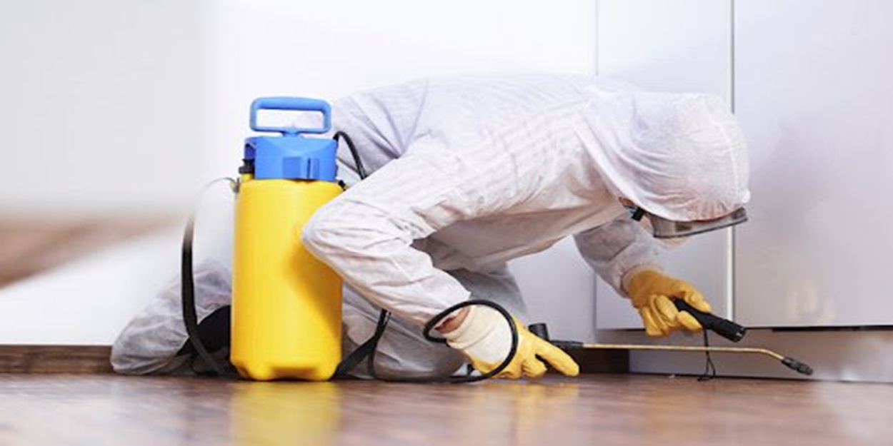 Termite Treatment | Bed Bug Texas Termite & Pest Control