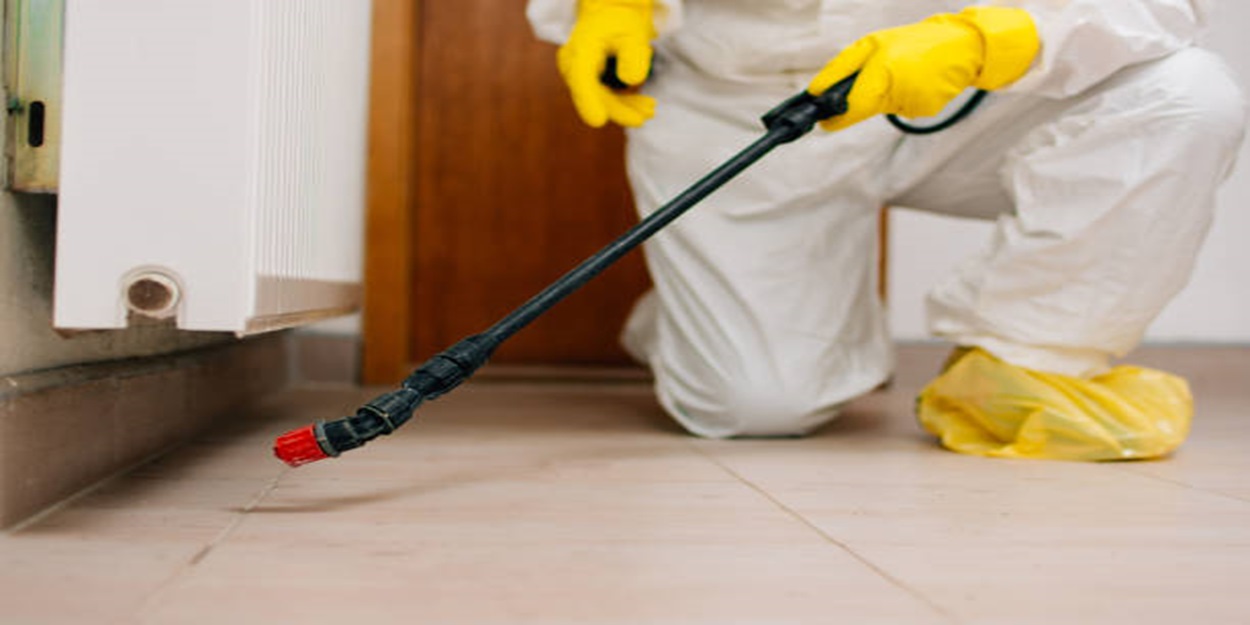 Termite Treatment | Bed Bug Texas Termite & Pest Control