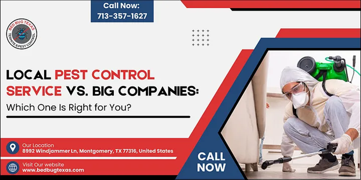 - Bed Bug Texas