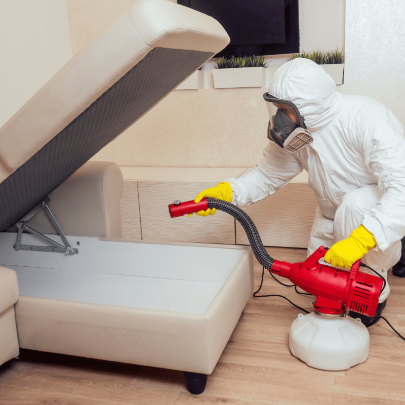 General Pest Control Texas 5 Pest Control Services Tomball TX