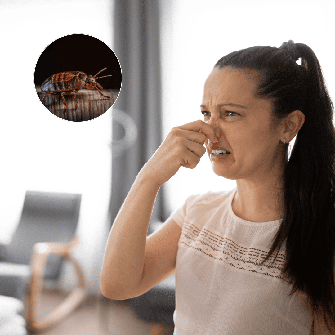 Burning Smell | Bed Bug Texas Termite & Pest Control