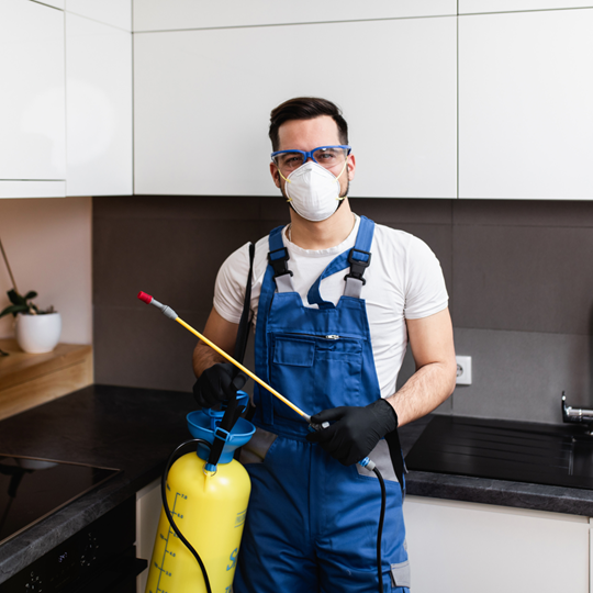 Bridgeland 9 Pest Control Treatments | Bed Bug Texas Termite & Pest Control