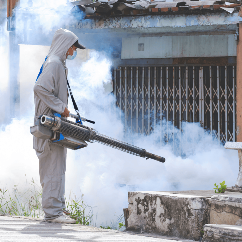 Mosquito Fogging Services | Bed Bug Texas Termite & Pest Control