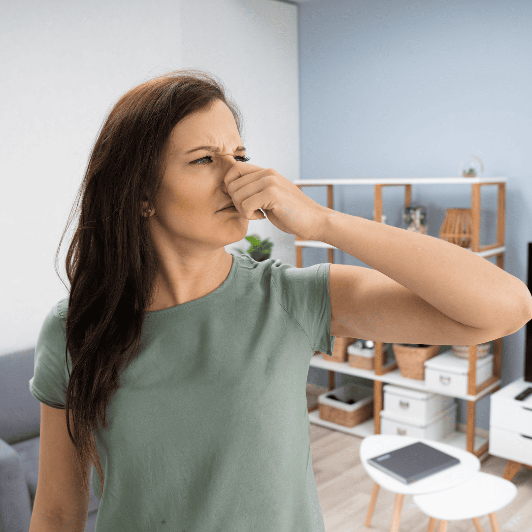 Dryer Vent Cleaning 8 Burning Smell | Bed Bug Texas Termite & Pest Control