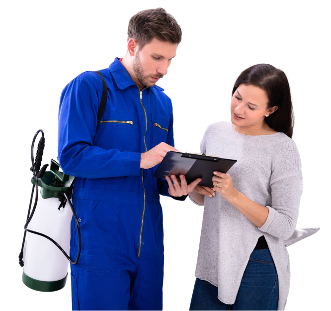 General Pest Control Texas 19 User Friendly Solutions | Bed Bug Texas Termite & Pest Control