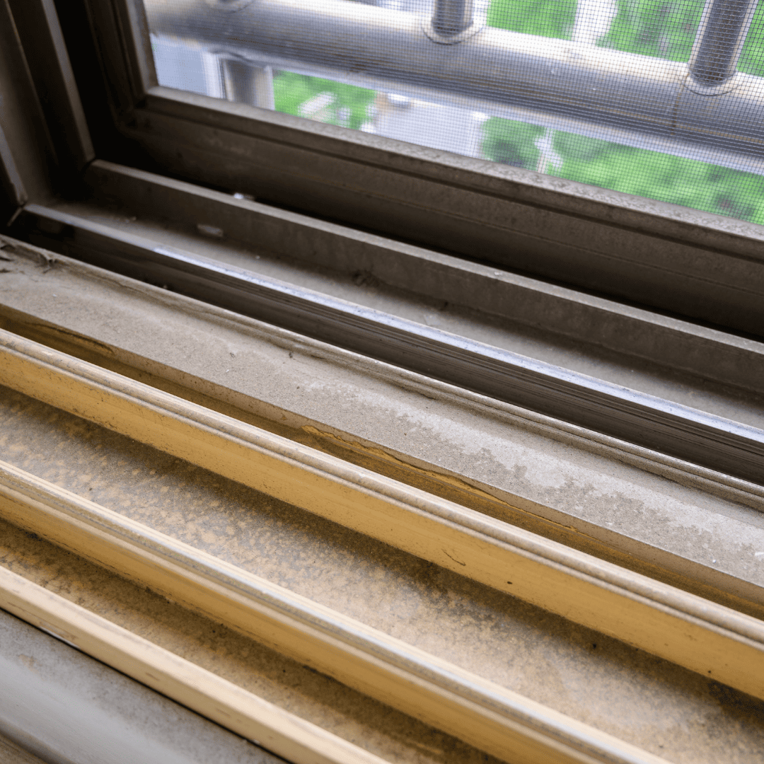 Window Cleaning Services 9 Dirt and Dust Build | Bed Bug Texas Termite & Pest Control