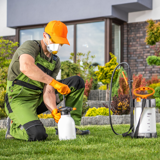 Bridgeland 18 Eco Friendly Treatment | Bed Bug Texas Termite & Pest Control