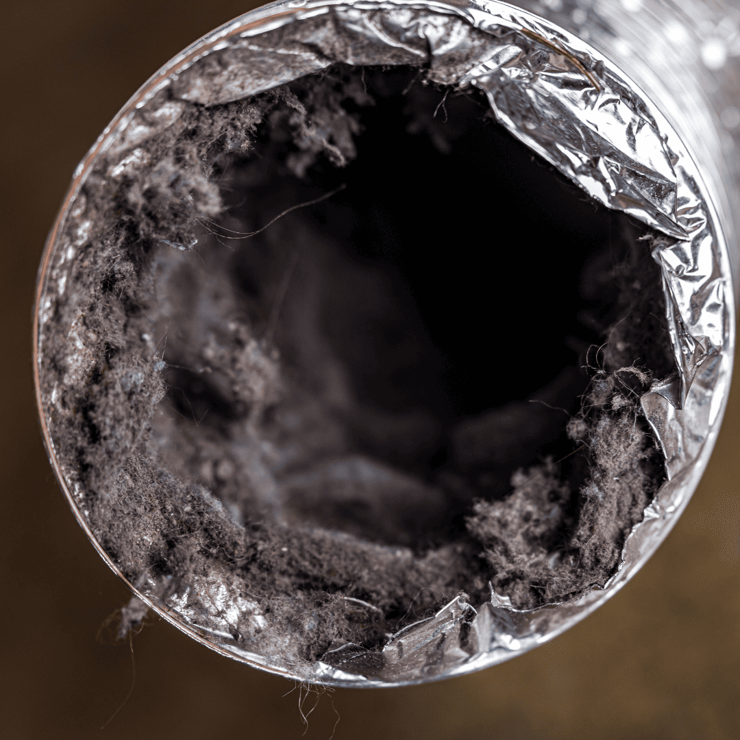 Dryer Vent Cleaning 10 Excess Lint | Bed Bug Texas Termite & Pest Control