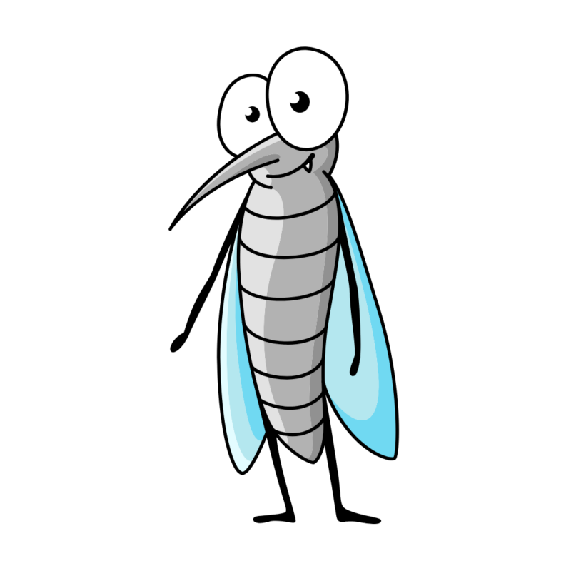 Mosquito | Bed Bug Texas Termite & Pest Control