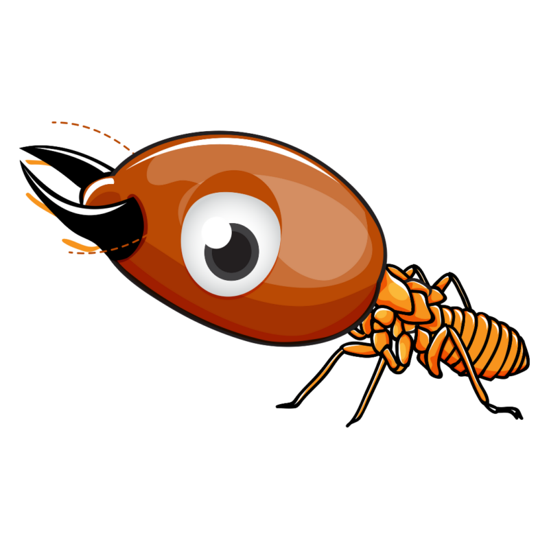 Termite Exterminator 19 Termite Icon | Bed Bug Texas Termite & Pest Control
