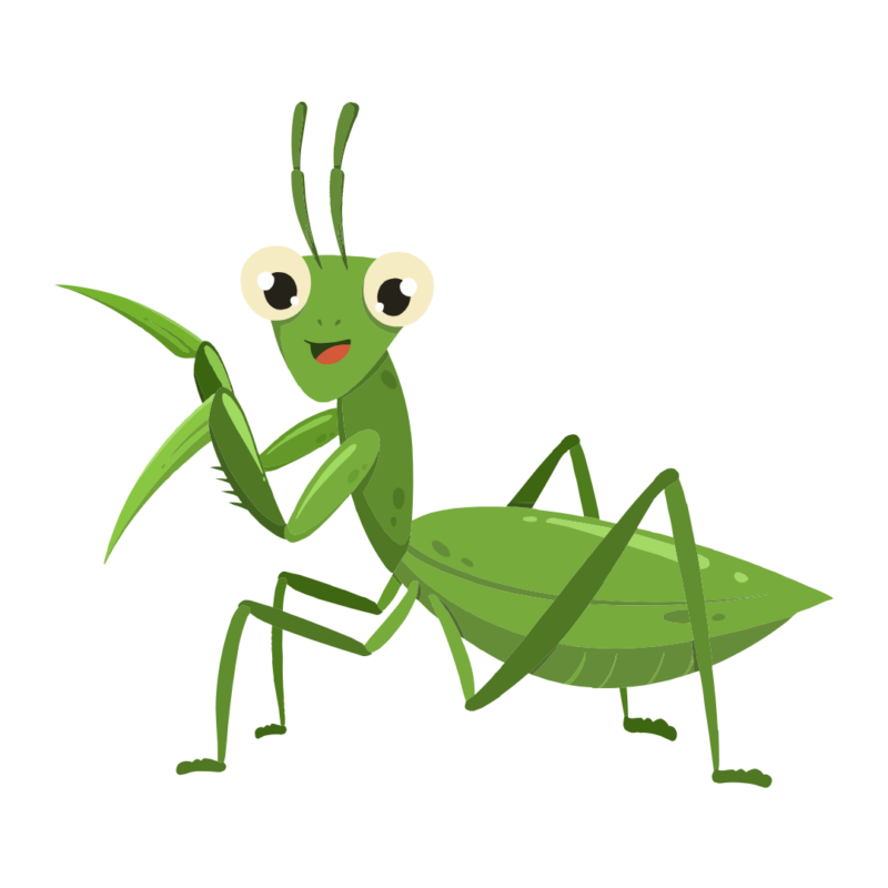 Yard Pests Control 19 Praying Mantis Icon | Bed Bug Texas Termite & Pest Control