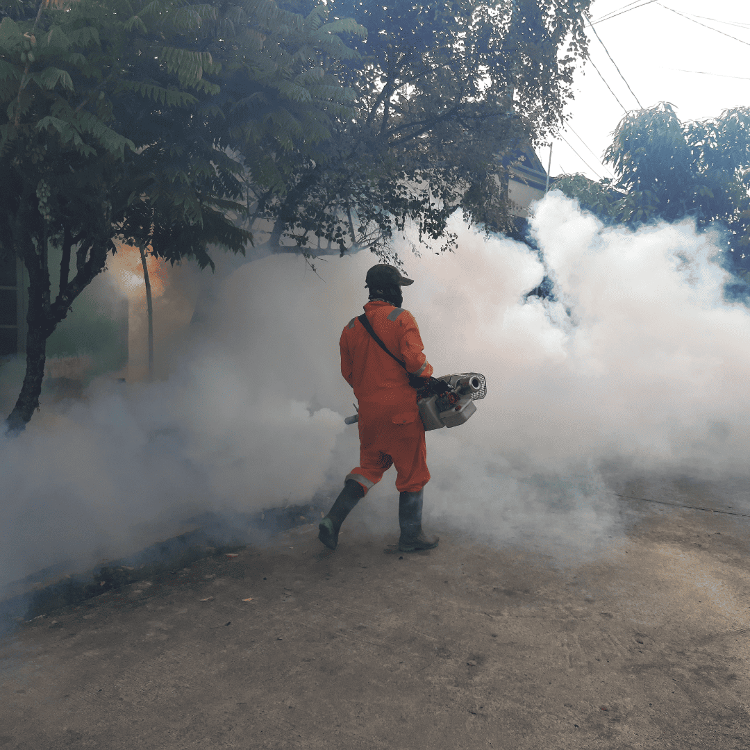 Mosquito Fogging | Bed Bug Texas Termite & Pest Control