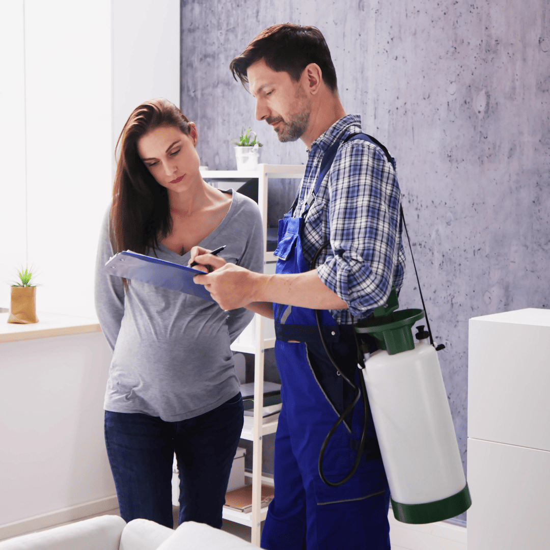 User Friendly Solutions | Bed Bug Texas Termite & Pest Control