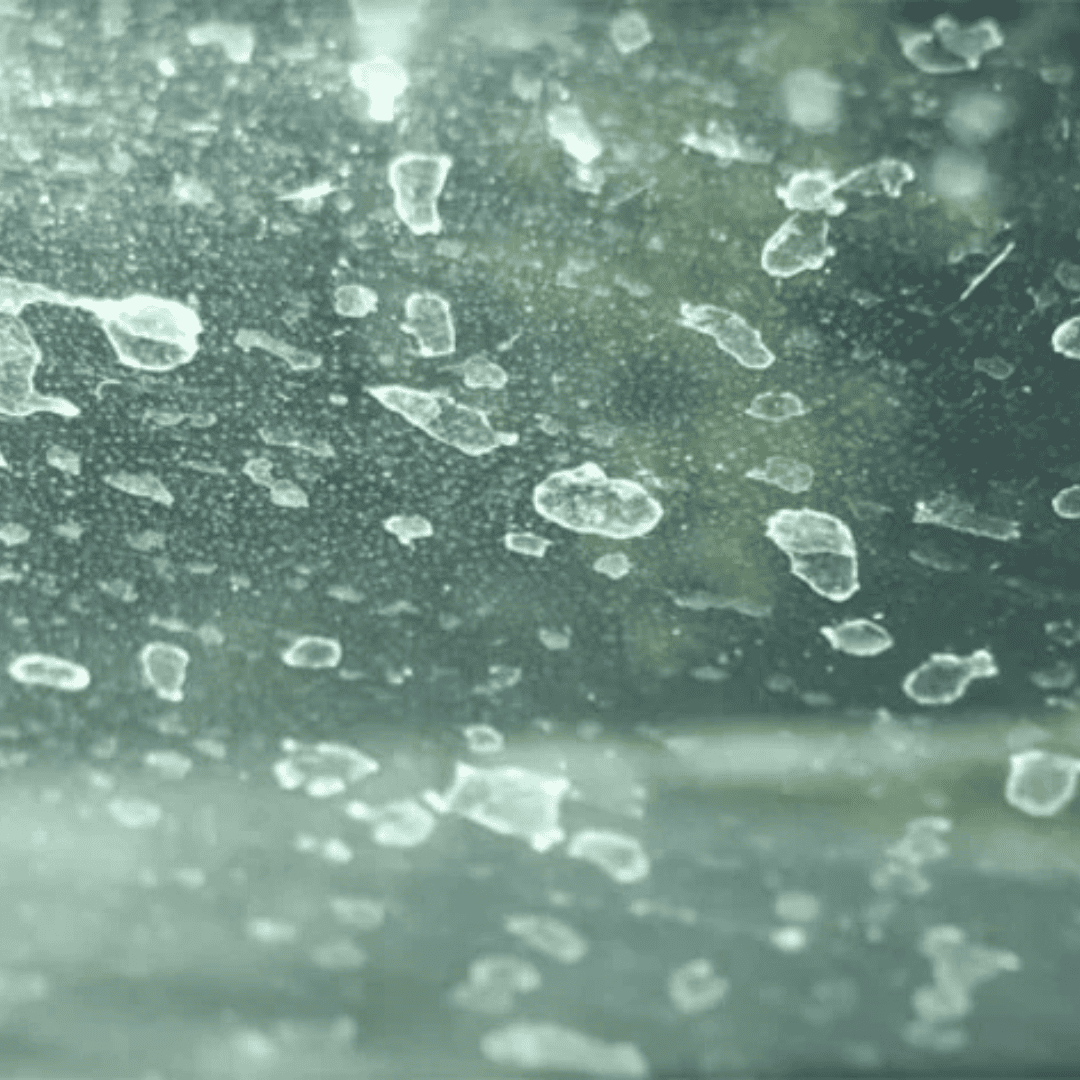 Window Cleaning Services 8 Hard Water Stains | Bed Bug Texas Termite & Pest Control
