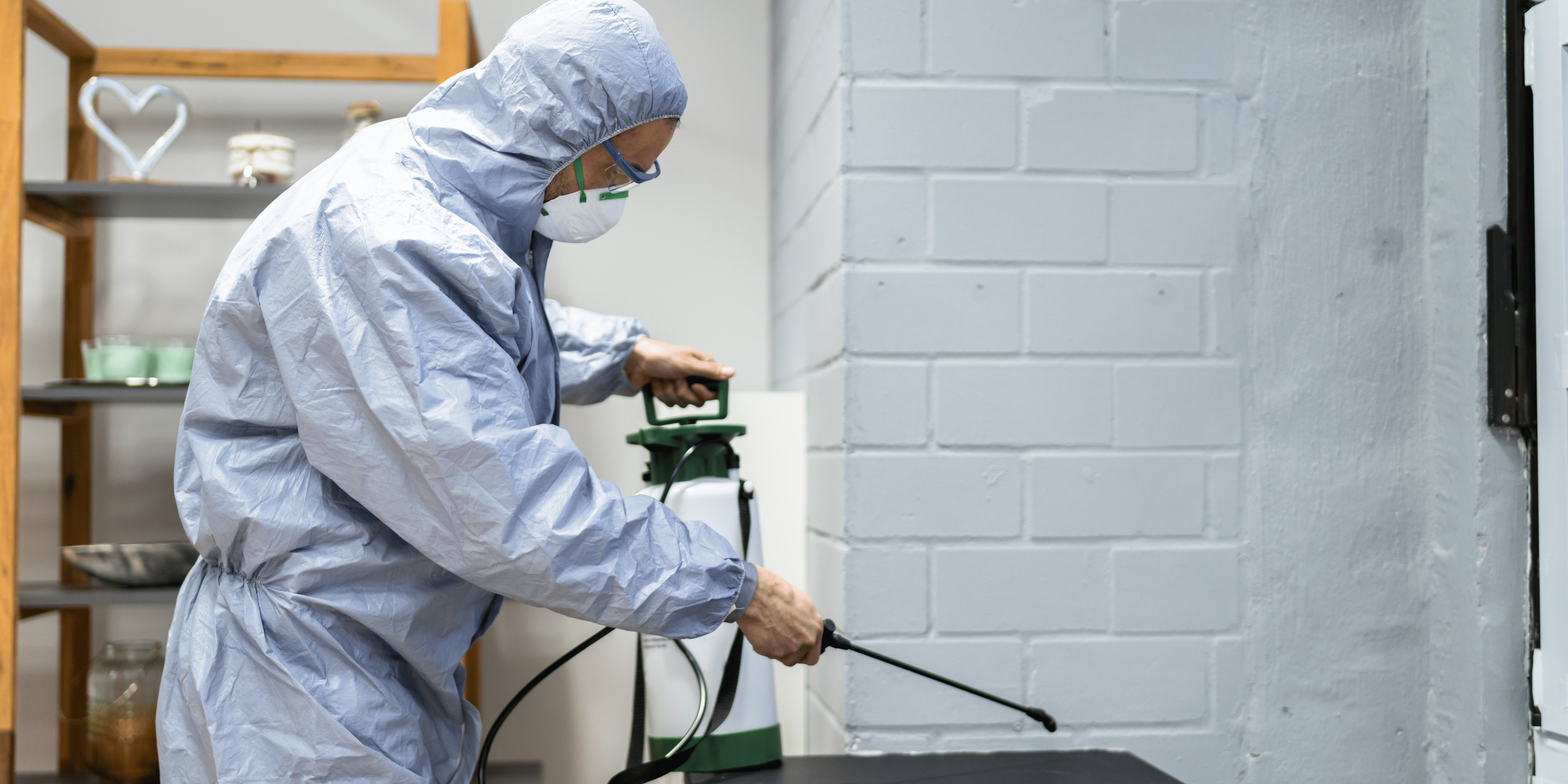 Cypress 3 Pest Control Treatments | Bed Bug Texas Termite & Pest Control
