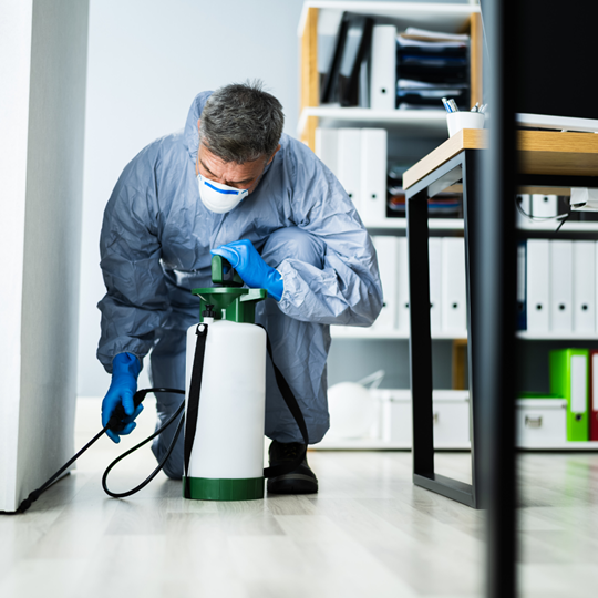 Bridgeland 4 Pest Control Services | Bed Bug Texas Termite & Pest Control