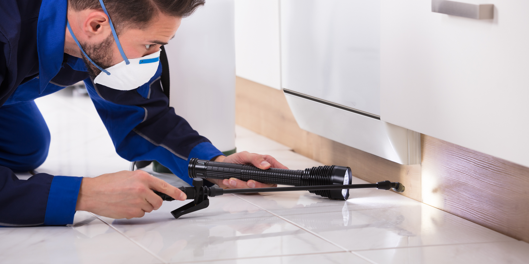 Bridgeland 7 Pest Control Treatments | Bed Bug Texas Termite & Pest Control