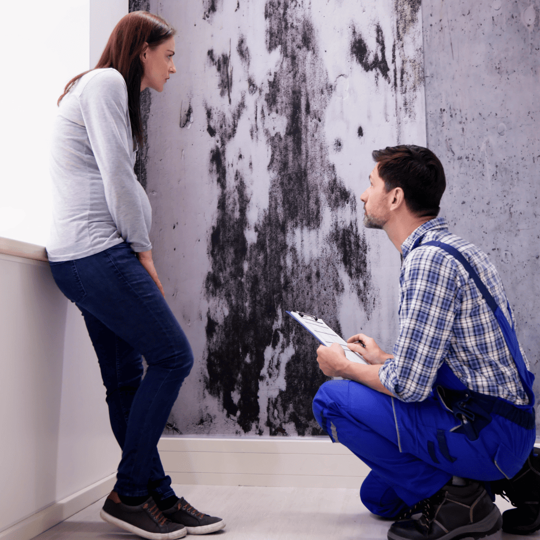 General Pest Control Texas 18 Prevention Measures | Bed Bug Texas Termite & Pest Control