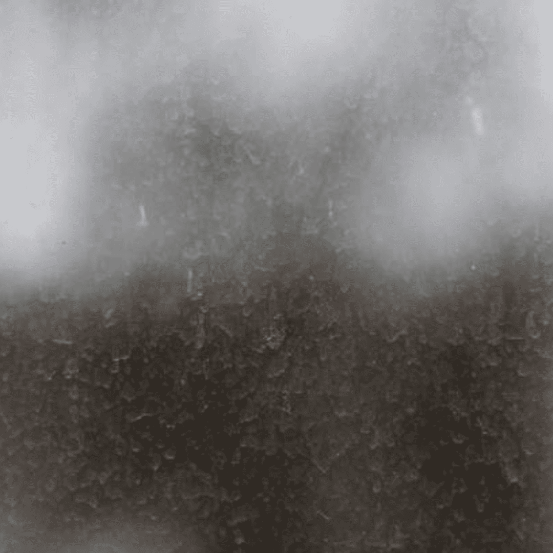 Window Cleaning Services 7 Streaks and Smudges | Bed Bug Texas Termite & Pest Control