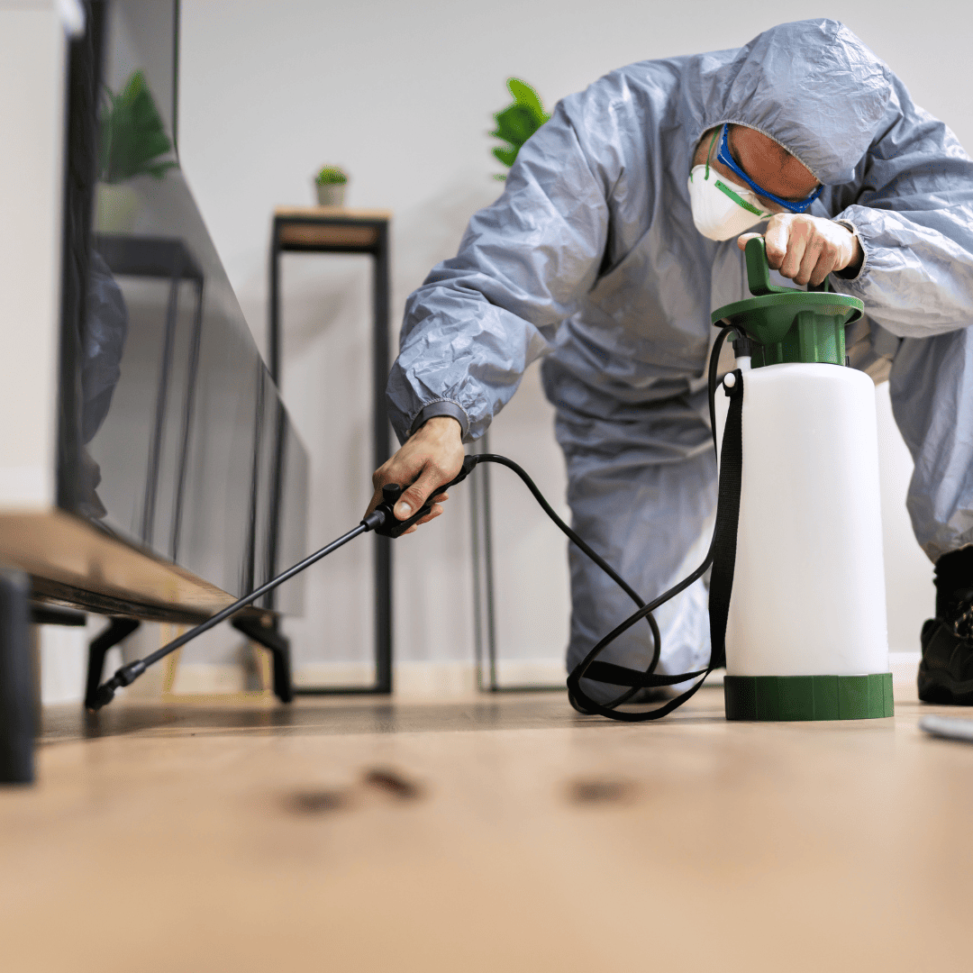 Targeted Treatment | Bed Bug Texas Termite & Pest Control