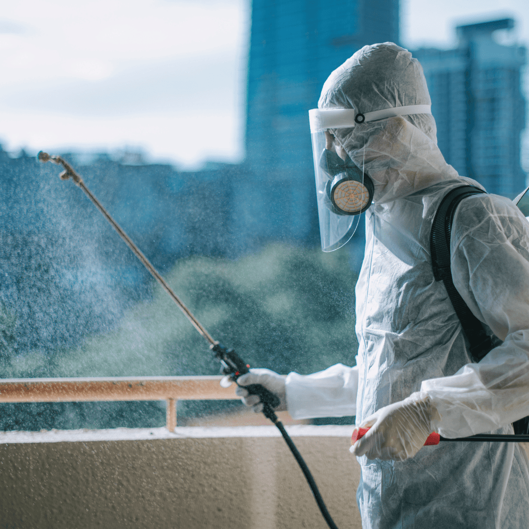 General Pest Control Texas 16 Treatment Application | Bed Bug Texas Termite & Pest Control