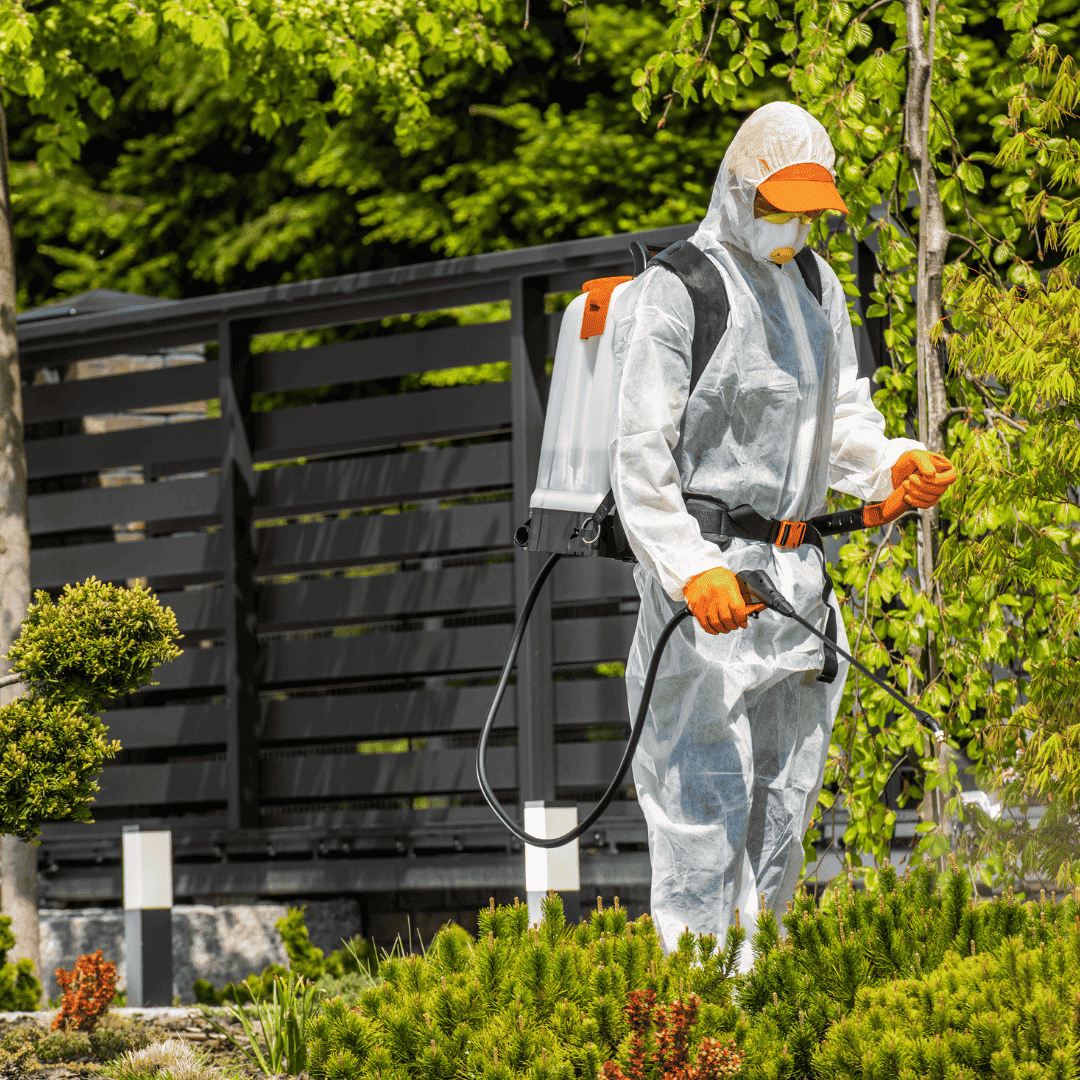 Yard Pests Control 15 Eco Friendly Treatment | Bed Bug Texas Termite & Pest Control