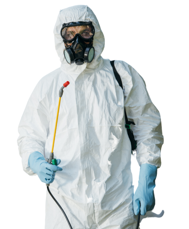 General Pest Control Texas 13 Why Choose Us | Bed Bug Texas Termite & Pest Control