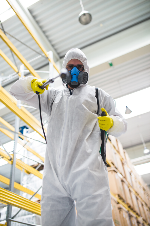Klein 10 Why Work with Bed Bug Texas | Bed Bug Texas Termite & Pest Control