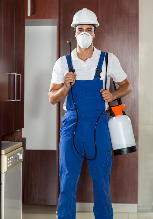 Cypress 7 Why Work with Bed Bug Texas | Bed Bug Texas Termite & Pest Control
